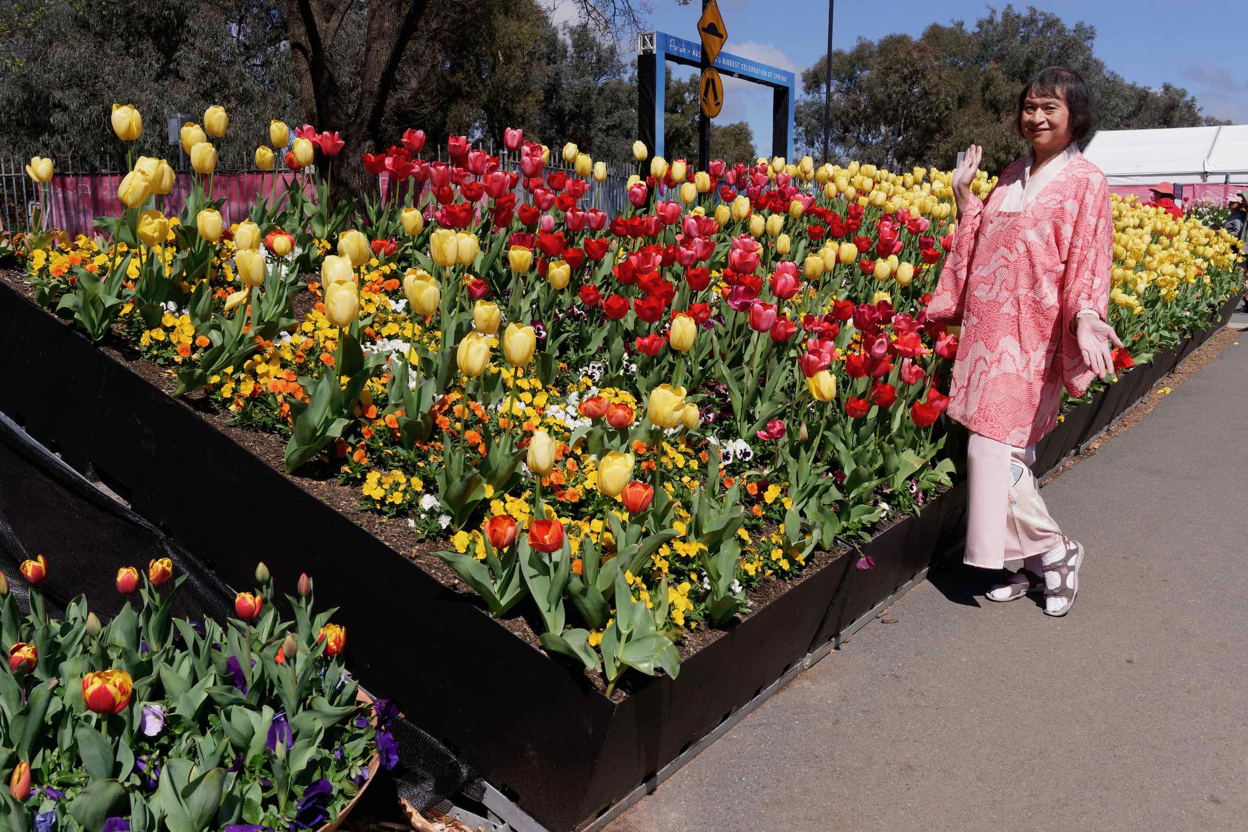 Cowra/Floriade Trip Day 3 featured image
